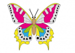 Papillon macaon