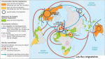 Les flux migratoires