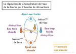 Boucles de rétroactions eau