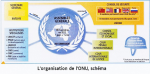 L'organisation de l'ONU (schéma)