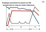 Graphique présentant les phases du VIH