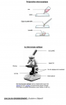 Préparation microscopique et microscope optique