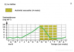Evolution des concentrations d'hormones et de l'activité sexuelle Brebis Bélier