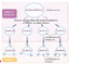 Lyc Perte et reassociation de fragment de genes au cours de la production d un lymphocyte B Original 11273.jpg - URL