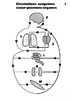 Prim 5e 2nd Circulations sanguines coeur poumons organes Arial 24G Niveaux de gris 10004.pdf - URL