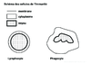 3e Schema des cellules de l immunite Arial 24G Niveau de gris 10028.pdf - URL