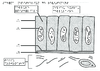 PostBac Schema Epithelium de revetement Relief 10138.pdf - URL