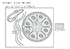 Tle PostBac Glande  Schema Relief 10140.pdf - URL