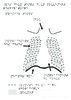 5e Les deux temps d un mouvement respiratoire Relief 10791 - URL