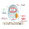 Lyc metabolisme de la levure en presence de dioxygene respiration cellulaire Original 12829.jpg - URL