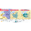 Les vicissitudes du territoire polonais Original 13037.jpg - URL