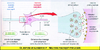 1e Glutamate et substance P Neurone nociceptif medullaire Original 10552.pdf - URL