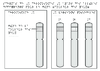 3e chromosomes 3 alleles couleur des yeux Relief 10304.pdf - URL