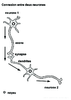 4e 2nd Connexion entre deux neurones Arial 24G Niveau de Gris 10291.pdf - URL