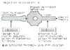 1e Glutamate et substance P Neurone nociceptif medullaire Relief 10553 - URL