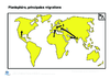 Prim Coll Planisphere principales migrations Arial 24G 10408.pdf - URL