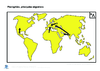 Prim Coll Planisphere principales migrations sans etiquette Arial 18G 10409.pdf - URL