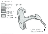 PostBac L oreille Relief 10093.pdf - URL