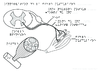 1e PostBac  Innervation de la fibre musculaire Relief 10100.pdf - URL