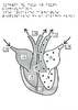 5e Anomalies cardiaques responsable maladie bleue Relief 10862.pdf - URL