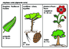 Prim 6e Classification vegetaux Arial 20G 10874.pdf - URL