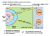 Types d espaces urbains et ruraux et leurs flux Arial 20G 10945.pdf - URL