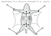 2nd 1e Tle PostBac Dissection souris Relief 10113.pdf - URL